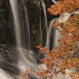 Springs Rivers Oceans-51