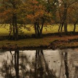 Springs Rivers Oceans-52