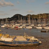 Springs Rivers Oceans-54