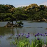 Springs Rivers Oceans-5