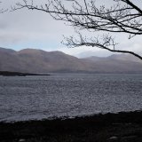 Springs Rivers Oceans-64