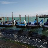 Springs Rivers Oceans-94