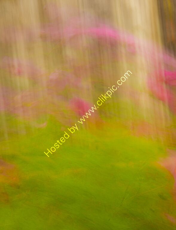 DSCF1744 ICM Photograpy