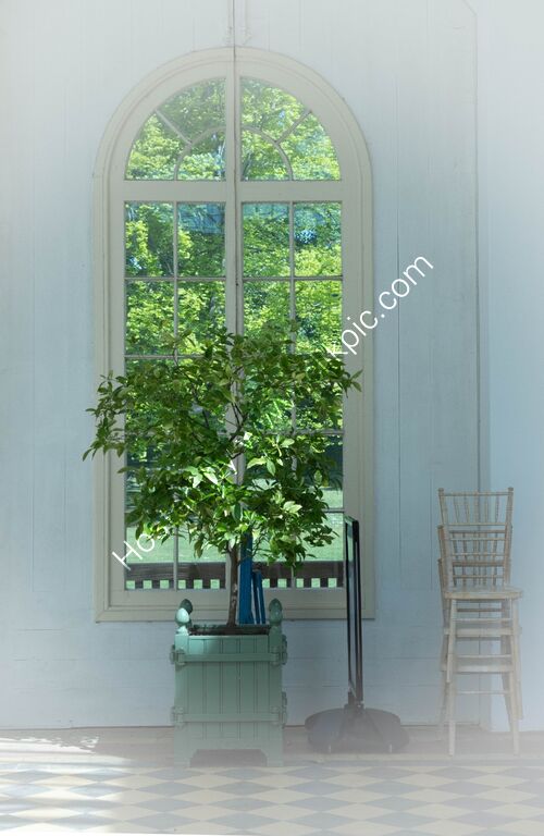 DSCF8938 The bay window