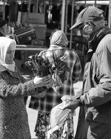 TB Photography18 1524