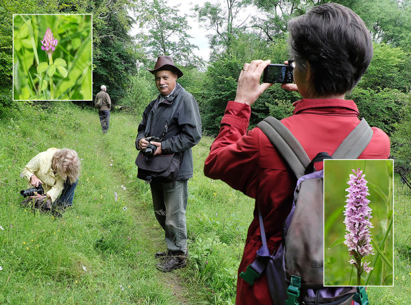 Downe Bank-Jun16