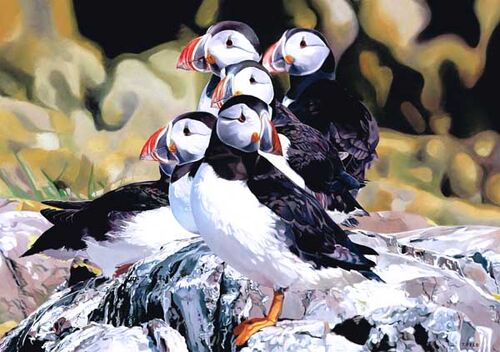 THERE IS NO COLLECTIVE NOUN FOR PUFFINS