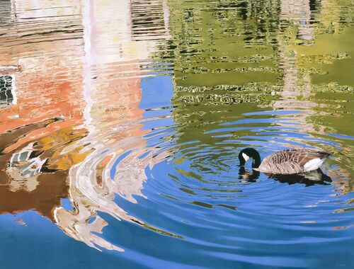 CANADA GOOSE IN THE MOAT