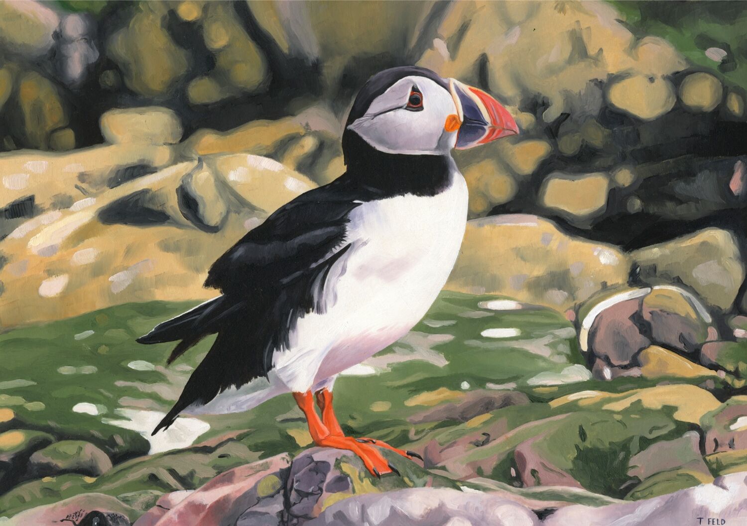 PUFFIN