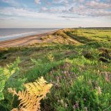 Dunwich view, summer evening