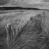 Fence, marram grass, sky