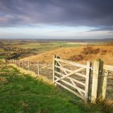 Wye Nature Reserve, morning sunlight