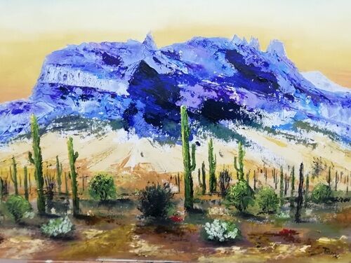 Arizona meditations