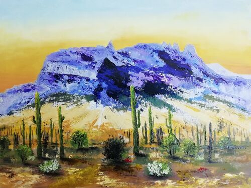 Arizona meditations