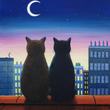 City Cats