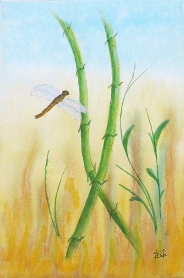Dragonfly