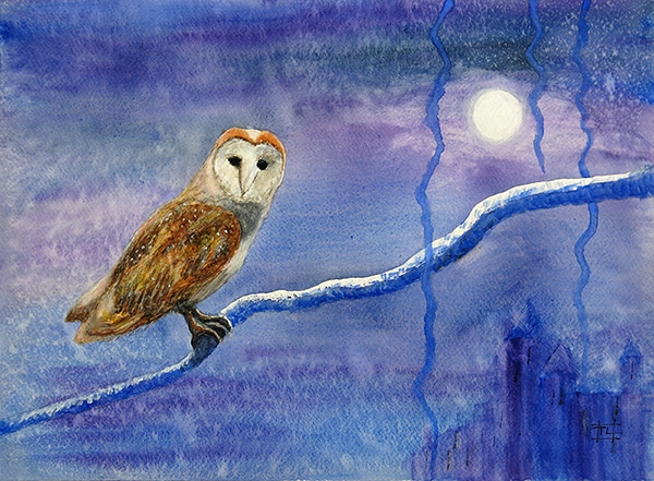 Owl by Moonlight