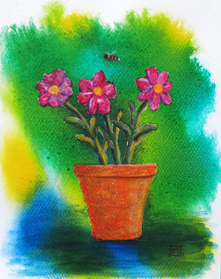 Pink Flowers