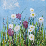 Spring Flowers