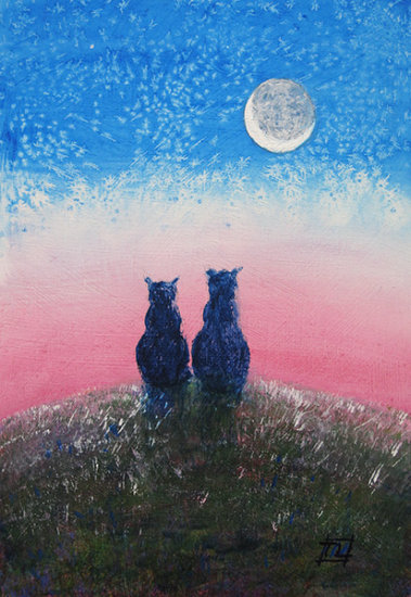 Star Gazing