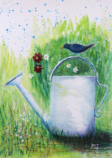 Blackbird & Watering Can
