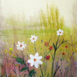Wild Flowers 2