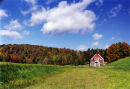 Wonky Barn