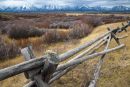 Fences