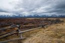 Fences