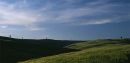 Sentinels