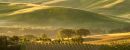 Dawn Light in Val D'Orcia