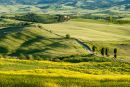 Gladiator Fields south of Pienza