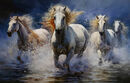 Wild White Horses