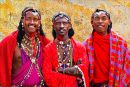 Colourful Trio Trio