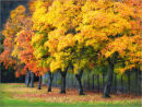 Colours of Autumn
