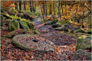 Padley Gorge in Autumn 2