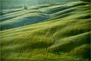 Rolling Hills of Tuscany