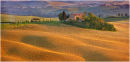 Tuscan Landscape 1