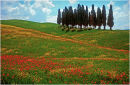 Tuscan Landscape 2