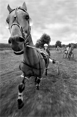 Clear of the field