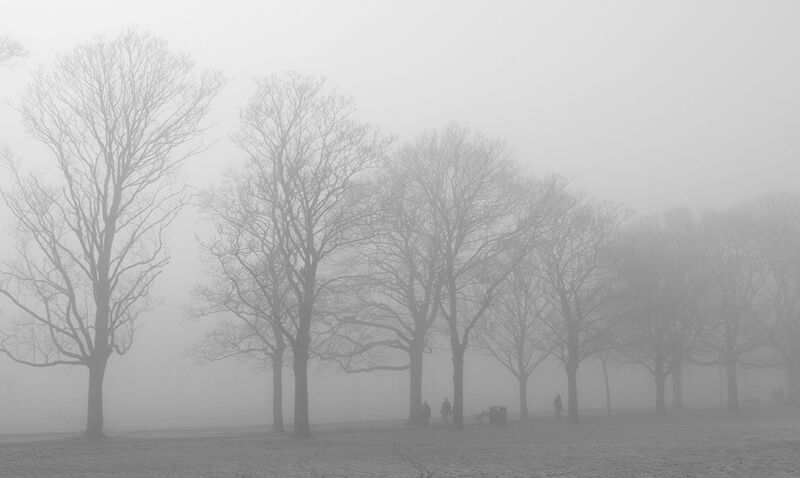 Misty morning
