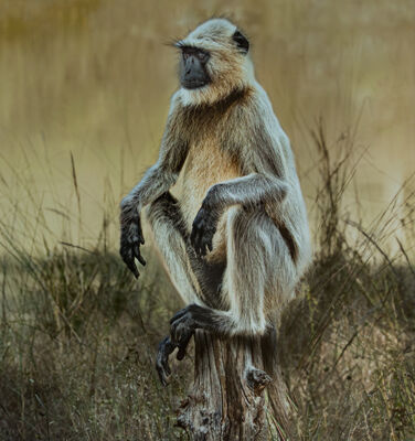 Moment of contemplation