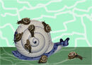 Snail Raid