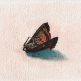 Moth (Deceased)