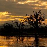 Sunrise on Lake Kerkini