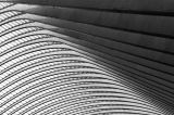 Guillemins VII