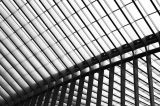 Guillemins VI