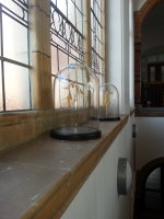 Memories of Places Never Visited at Art Gene