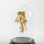 Cradle of Civilisation