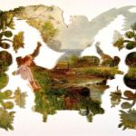 Look Far Away What Do You See